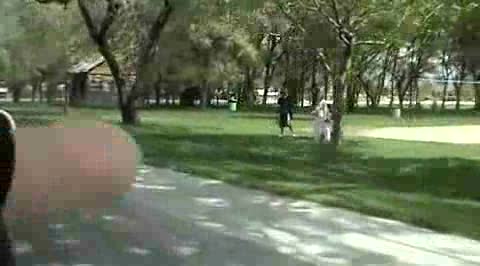 Nice Guy Driveby